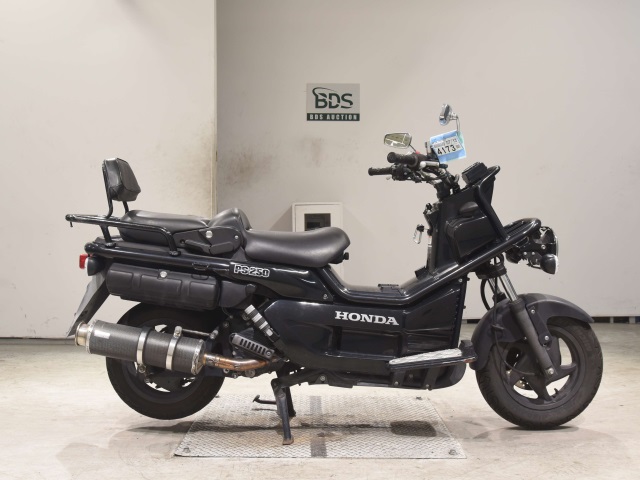 Honda PS250 BIG RUCKUS 2006