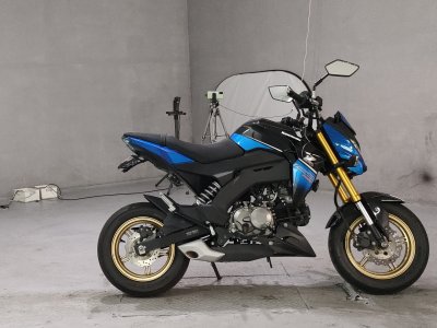 Kawasaki Z125 PRO 2017