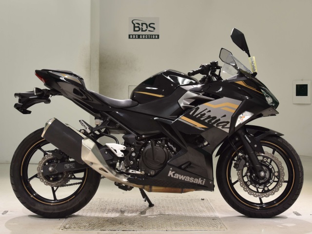 Kawasaki NINJA250 2020