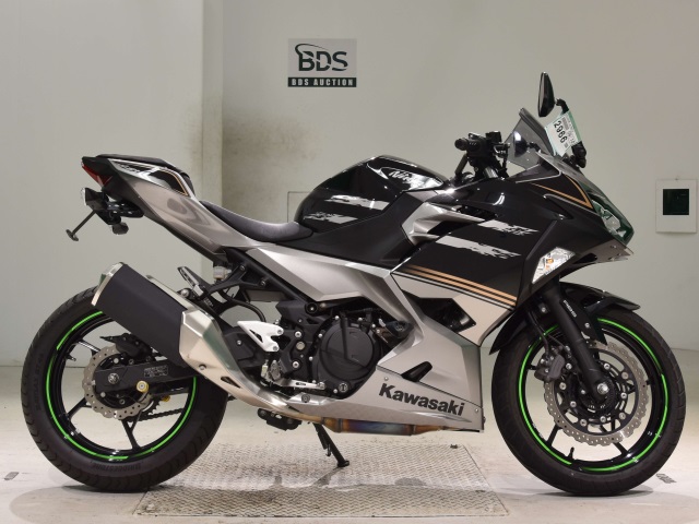 Kawasaki NINJA250 2019