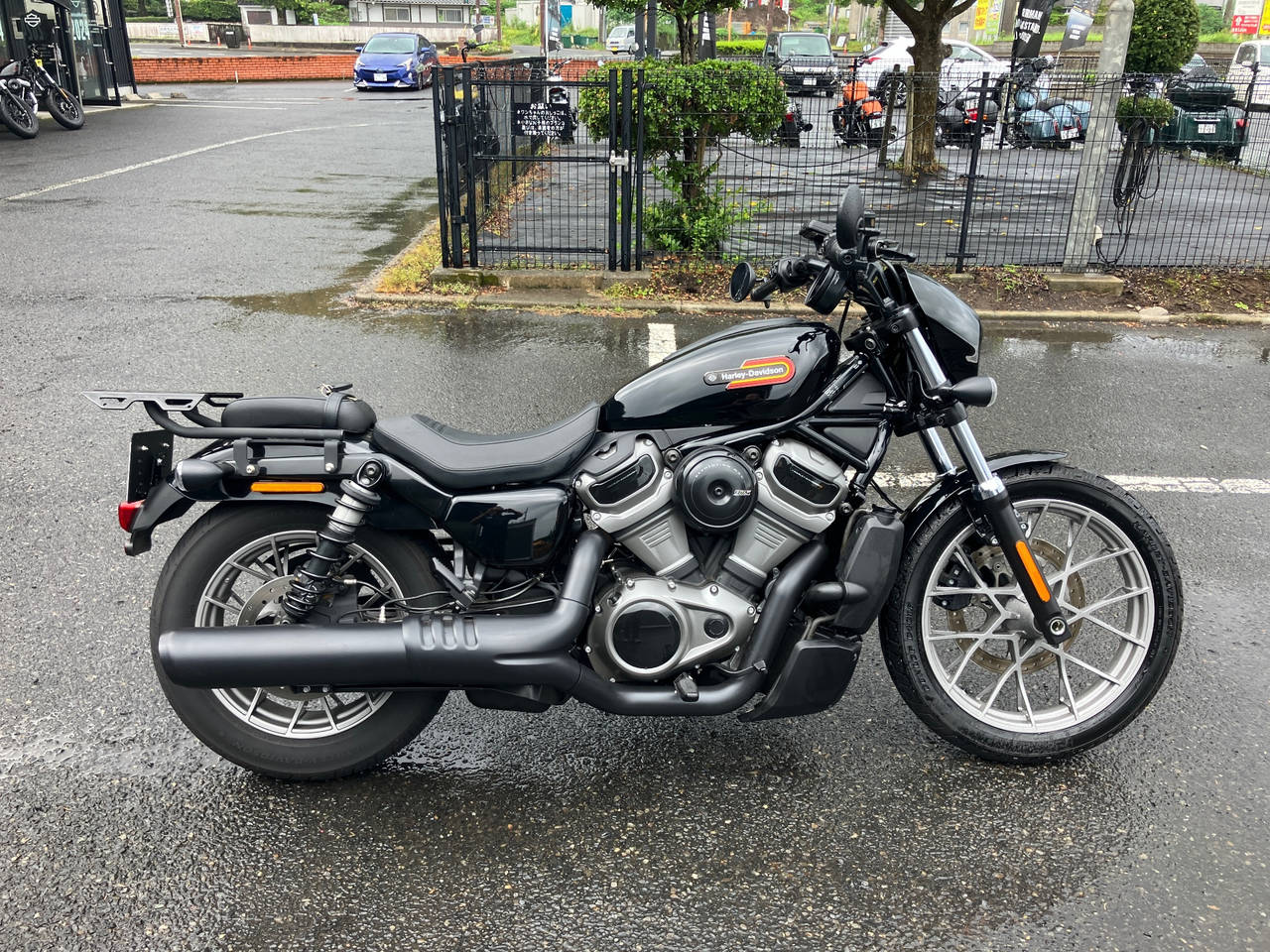 HD RH975S NIGHT STAR 2023