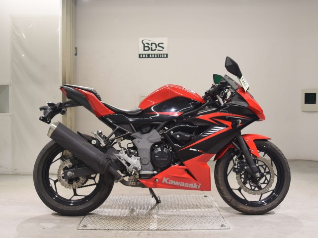 Kawasaki NINJA250 2015