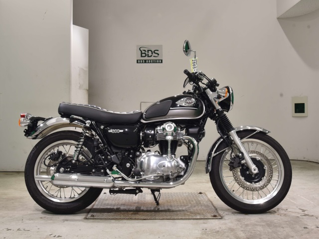 Kawasaki W800 2024