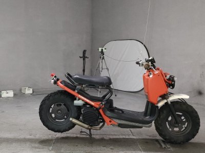 Honda ZOOMER 2001