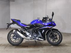 Suzuki GSX250R