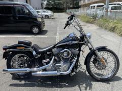 HD SOFTAIL FXST 2002