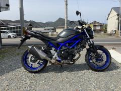 Suzuki SV650A 2022