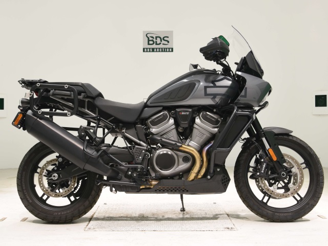 HD PAN AMERICA1250 S 2022