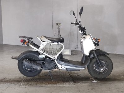 Honda ZOOMER 2008