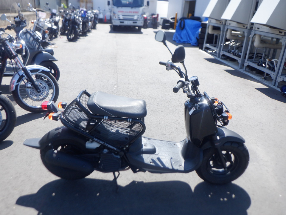 Honda ZOOMER 2008