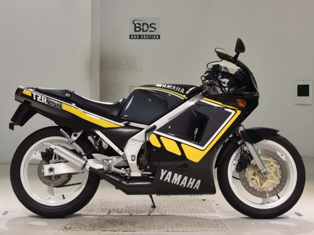 Yamaha TZR250