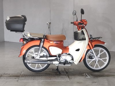 Honda SUPER CUB110 2025