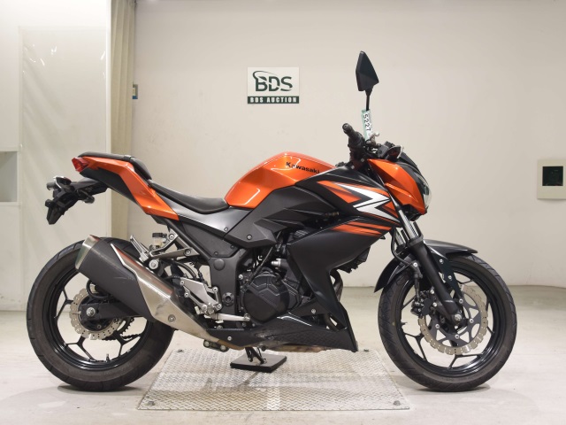 Kawasaki Z250 2014