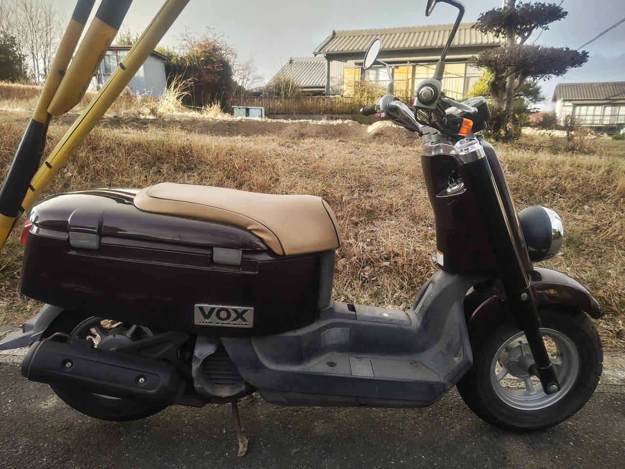 Yamaha VOX 2007
