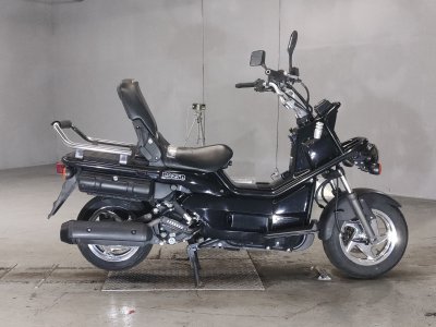 Honda PS250 BIG RUCKUS 2006