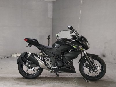 Kawasaki Z250 2013