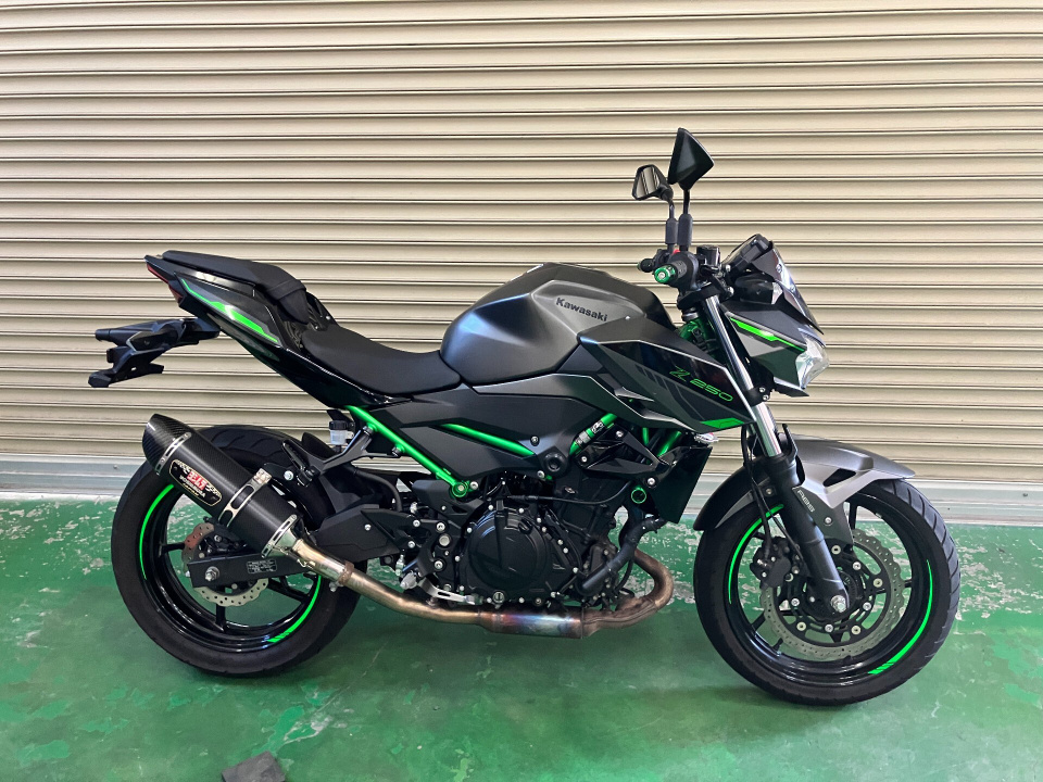 Kawasaki Z250A 2024