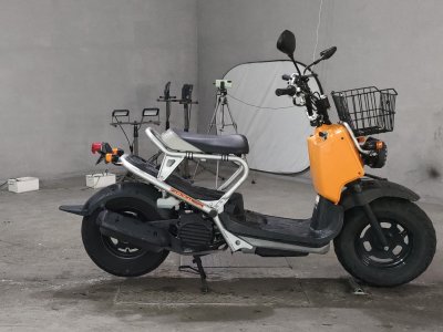 Honda ZOOMER 2008