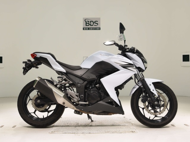 Kawasaki Z250 2013