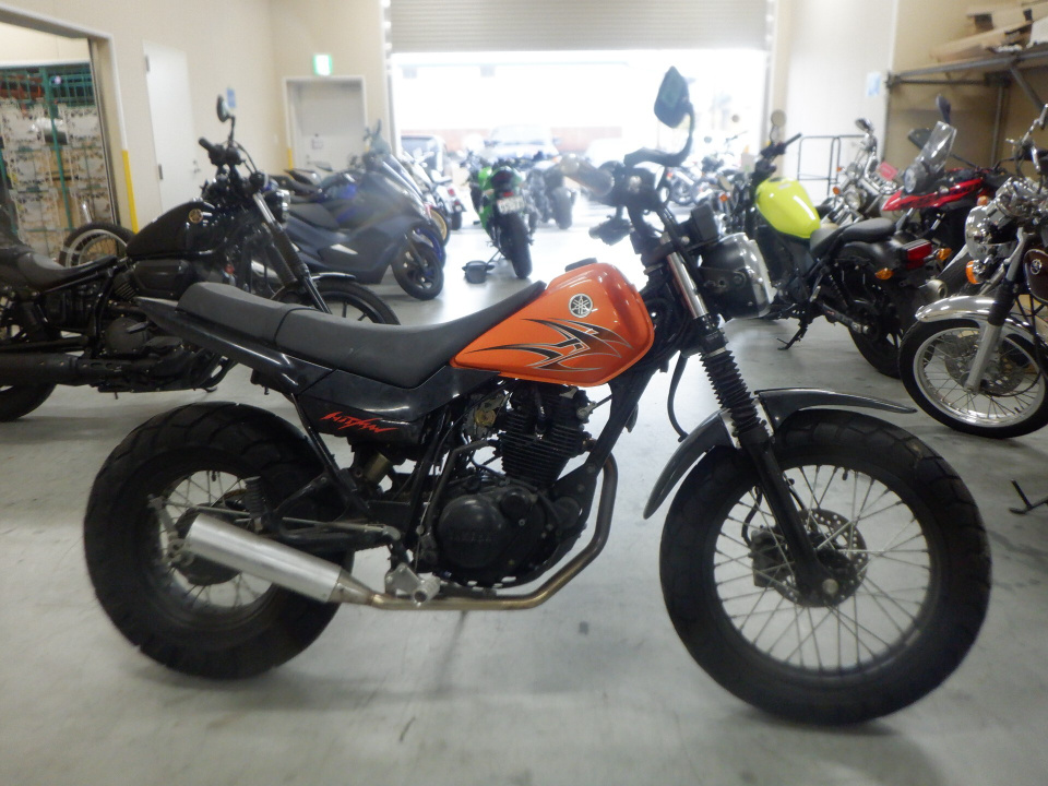 Yamaha TW225 2004