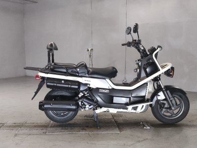Honda PS250 BIG RUCKUS 2004