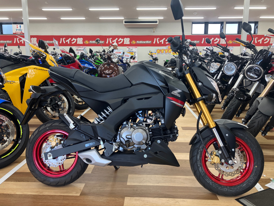 Kawasaki Z125 PRO 2021