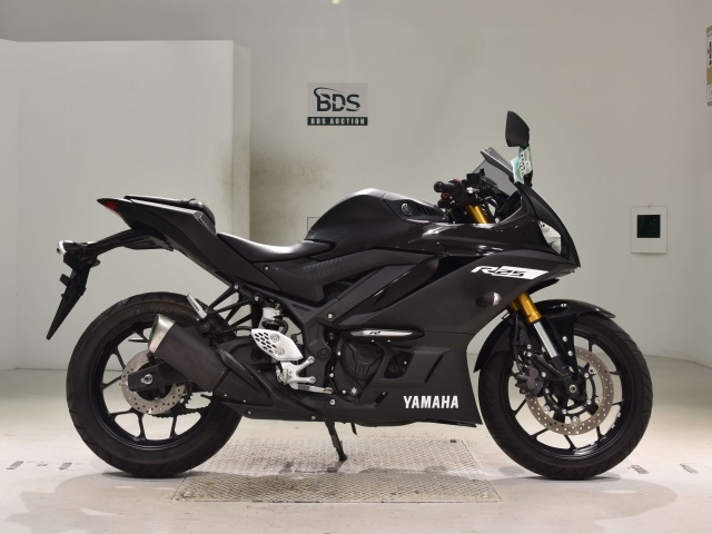 Yamaha YZF-R25 2019