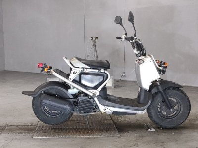 Honda ZOOMER 2009