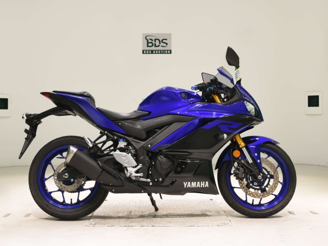 Yamaha YZF-R3 2019