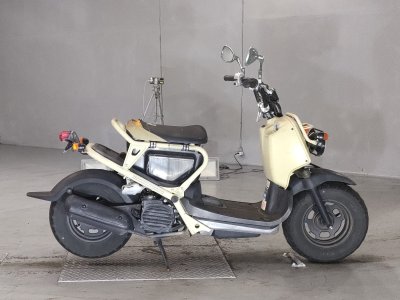 Honda ZOOMER 2009