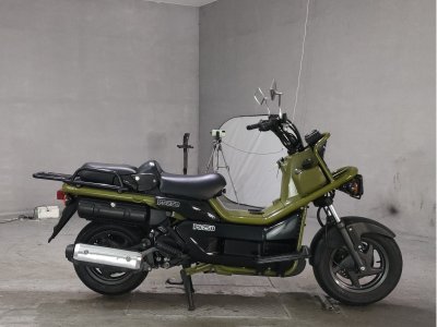 Honda PS250 BIG RUCKUS 2004