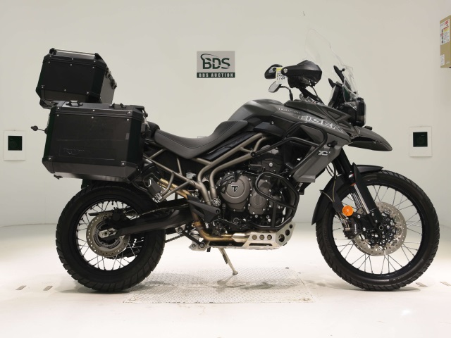 Triumph TIGER800XCX 2019