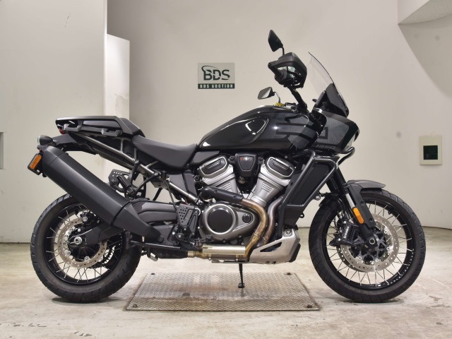 HD PAN AMERICA1250 S 2024