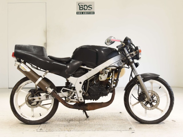 Honda NS-1 1994