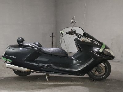 Yamaha MAGZAM 2007