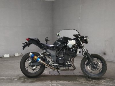 Kawasaki NINJA250 2015