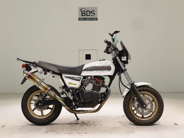 Honda APE100 2010