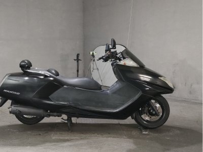 Yamaha MAGZAM 2006