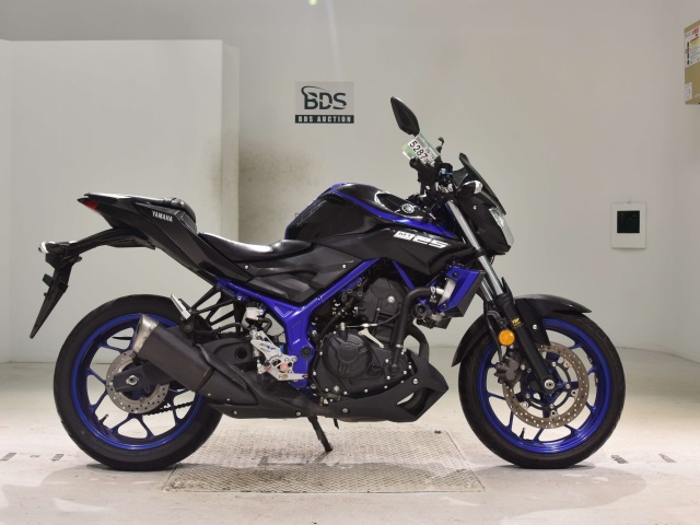 Yamaha MT-25 2018