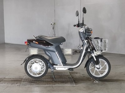 Yamaha EC-03 2010