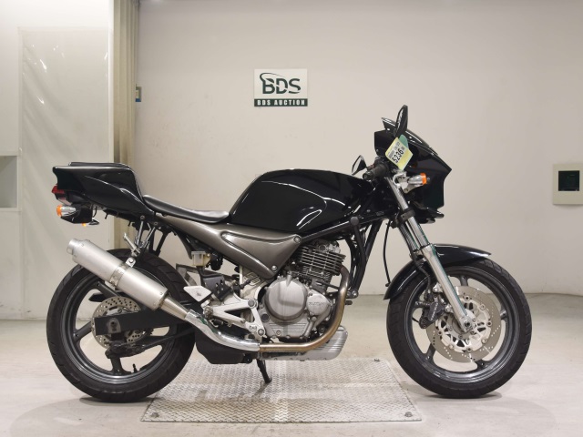 Suzuki GOOSE250 1992