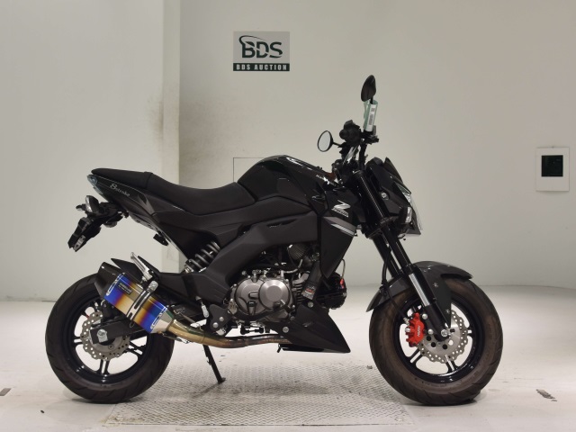 Kawasaki Z125 PRO 2018