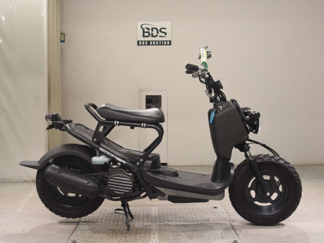 Honda ZOOMER 2009