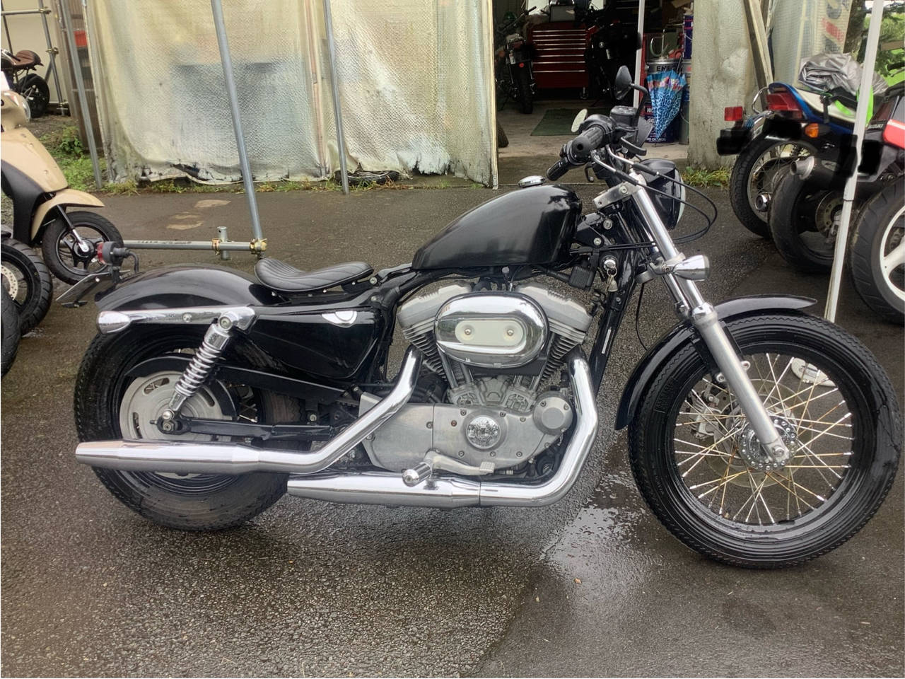HD SPORTSTER XL883L 2005