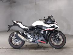 Suzuki GSX250R
