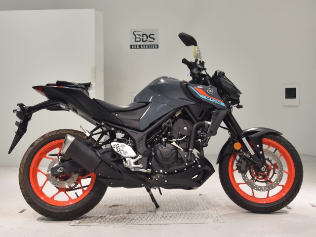 Yamaha MT-25 2021