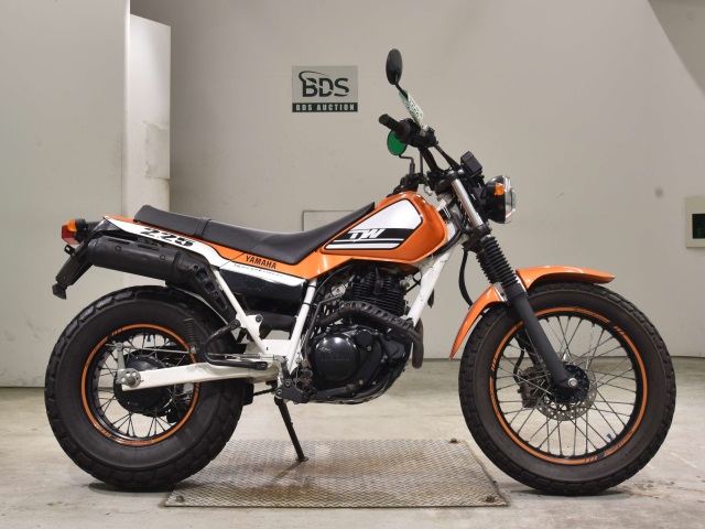 Yamaha TW225 2007