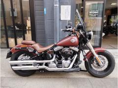 HD SLIM FLS1580 2016
