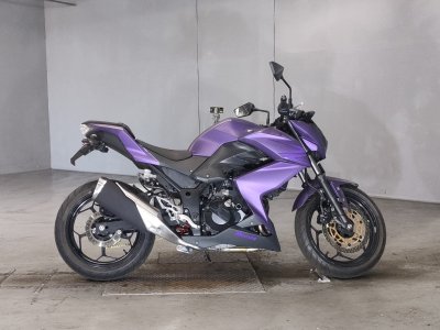Kawasaki Z250 2013