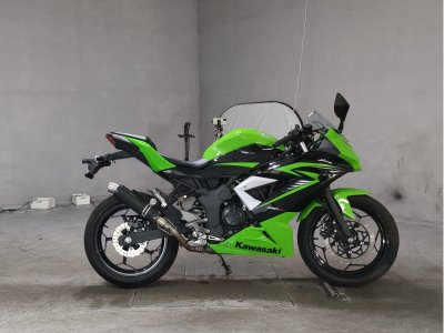 Kawasaki NINJA250 2015
